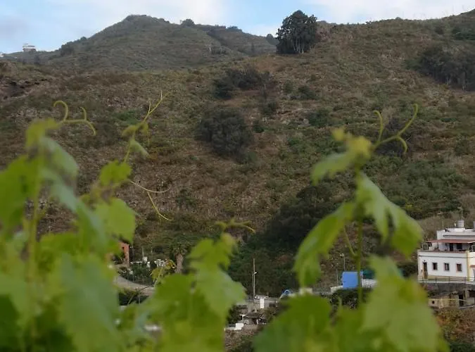 Casa Con Cuevita Vakantiehuis *